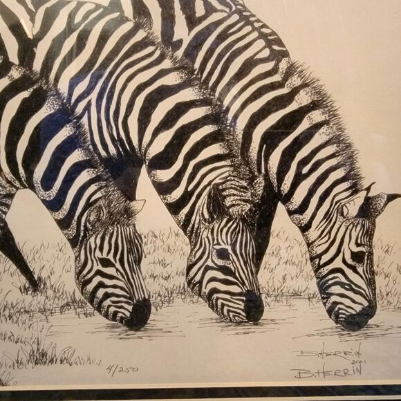 Original Lithograph in Pen & Ink, Zebras Drinking Signed Limited Edition #4/250 - Picture 2 of 16